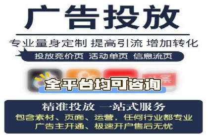 案例研究：SEM开户助力电商快速崛起
